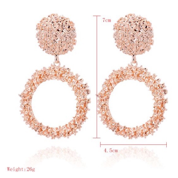 Round Sparkling Drop Earrings - Picture 4 of 5
